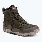 Herren Barfußschuhe Xero Shoes Alpine army green