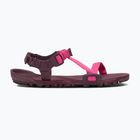 Damen Barfußsandalen Xero Shoes Z-Trail EV fuchsia purple