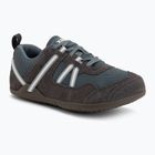 Barfußschuhe Herren Xero Shoes Prio insignia stormy weather