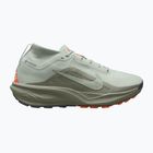 Herren-Laufschuhe Nike ACG Pegasus Trail GORE-TEX Light Silver/Light Army/Light Silver