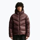 Herren-Daunenjacke Nike Windrunner light chocolate/light chocolate/white