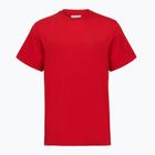 Herren T-Shirt Columbia CSC Basic Logo Back Tee mountain red/linework c badge