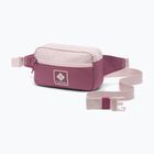 Bauchtasche Columbia Trail Traveler Hip 2 l mineral pink/antique mauve