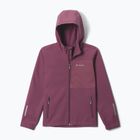 Kinder-Softshelljacke Columbia Ascender Hooded Softshell antique mauve