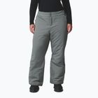 Damen Skihose Columbia Bugaboo III sedona sage