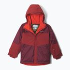 Kinder-Skijacke Columbia Mighty Mogul III Rich Wine/Red Oxide