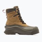 Herren-Winterstiefel Columbia Bugaboot Canyon sahara/mud
