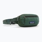 Bauchtasche Patagonia Terravia Mini Hip canopy green