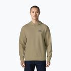 Herrenpullover Patagonia Daily Hoody weathered stone
