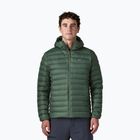 Herren-Daunenjacke Patagonia Down Sweater Hoody treeline green