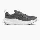 Herren-Laufschuhe Under Armour Assert 11 castlerock/white/black
