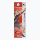Poster Sveltus Elastiband 3 Strengths colorfull