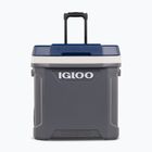 Igloo Maxcold Latitude 62 Qt Roller 59 l Karbonit/Ägäis Wanderkühlschrank