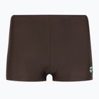 Arena Icons Swim Short Solid sepia/water Boxershorts