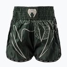 Herren-Trainingsshorts Venum Serpenti Muay Thai khaki/bronze/ivory
