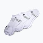 Socken Venum Vector No-Show 3 Paar white/grey