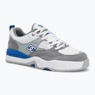 Schuhe Herren DC Ascend white / grey / blue