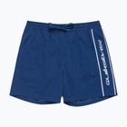 Herren Quiksilver Everyday Vert Volley 16" Kombi blau schwimmen Shorts