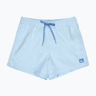 Herren Badeshorts Quiksilver Everyday Solid Volley 15" omphalodes