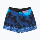 Herren-Badeshorts Quiksilver Everyday Printed Volley 15" Monaco Blue Thermotropics