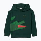 Sweatshirt Hoodie Kinder Lacoste SJ2561 sinople