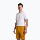 Herren-Trekkingshorts Aulp Banco kombucha