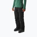 Herren-Skihose Picture Plan 10/10 black