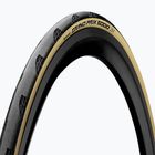 Continental Grand Prix 5000 Allseason Fahrradreifen 700 x 32C schwarz/creme