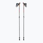 Nordic Walking Stöcke LEKI Instructor Lite schwarz-silber 65326341