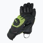 Skihandschuhe Herren LEKI WCR Coach 3D black/ ice lemon