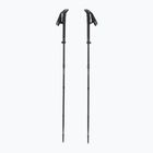 Trekkingstöcke LEKI Sherpa FX Carbon Strong black/naturalcarbon/light anthracite