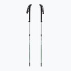 Trekkingstöcke LEKI Makalu FX TA silver/greygreen/white