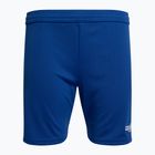 Capelli Sport Cs One Youth Match Fußball-Shorts königsblau/weiß