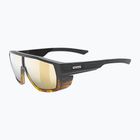 UVEX Mtn Style CV havanna matt fade/verspiegelt champagner Sonnenbrille