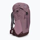Damen-Wanderrucksack deuter AC Lite SL 14 l rosa 342052155680
