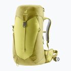 Touristischer Rucksack Damen deuter AC Lite 22 l SL sprout/linden