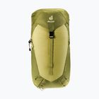 Deuter Wanderrucksack AC Lite 24 l Linden/Kaktus
