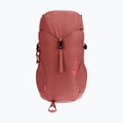 Touristischer Rucksack Kinder deuter Climber 22 l redwood/hibiscus