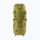 Trekkingrucksack deuter Aircontact Core 40 + 10 l Kaktus/Efeu