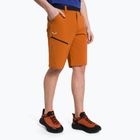 Salewa Herren-Trekking-Shorts Puez 3 orange 00-0000027401