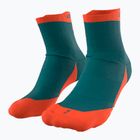 Laufsocken DYNAFIT Transalper petrol down