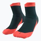 Laufsocken DYNAFIT Transalper bluberry/fluo coral