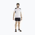 Herren Dynafit Sky Laufshorts schwarz 08-0000071653