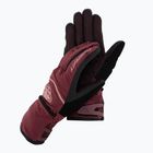 DYNAFIT Skihandschuhe Mercury DST burgundy