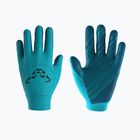 Handschuhe DYNAFIT Upcycled Thermal Silvretta