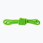 Salewa Ortles Master Cord 6mm Vorgeschnittenes grünes Kletterseil