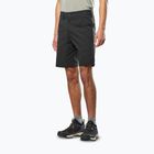 Herren-Trekking-Shorts Salewa Fanes Light black out