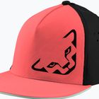 DYNAFIT Tech Trucker Cabana Baseballmütze