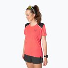 Damen-Laufshirt DYNAFIT Sky cabana