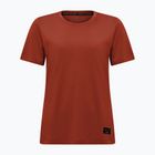 Salewa Damen-T-Shirt Eagle Logo Patch 1980 etruskisch rot
